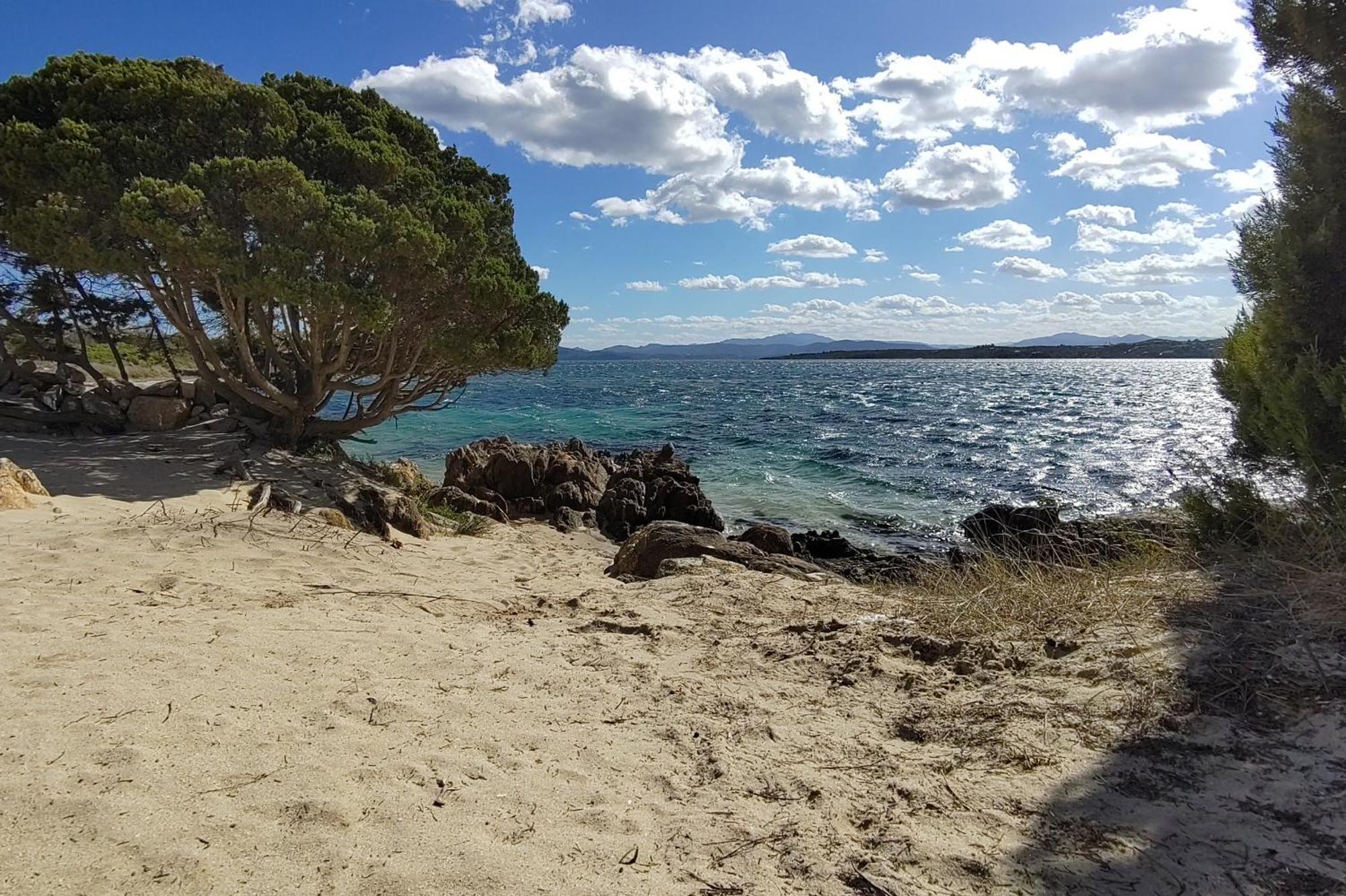 Casa Vacanze Lo Squalo Olbia Eksteriør bilde